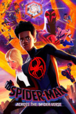 Spider-Man: Across the Spider-Verse (2023) Spider-Man: Across the Spider-Verse (2023)