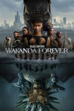 Black Panther: Wakanda Forever (2022) Black Panther: Wakanda Forever (2022)