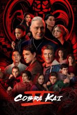 Cobra Kai Season 5 (2022)
