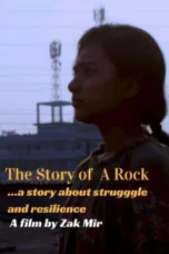 The Story of a Rock (2025)